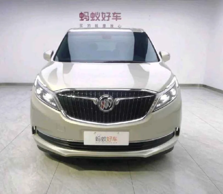 2019 year Buick GL8  used car  for sale