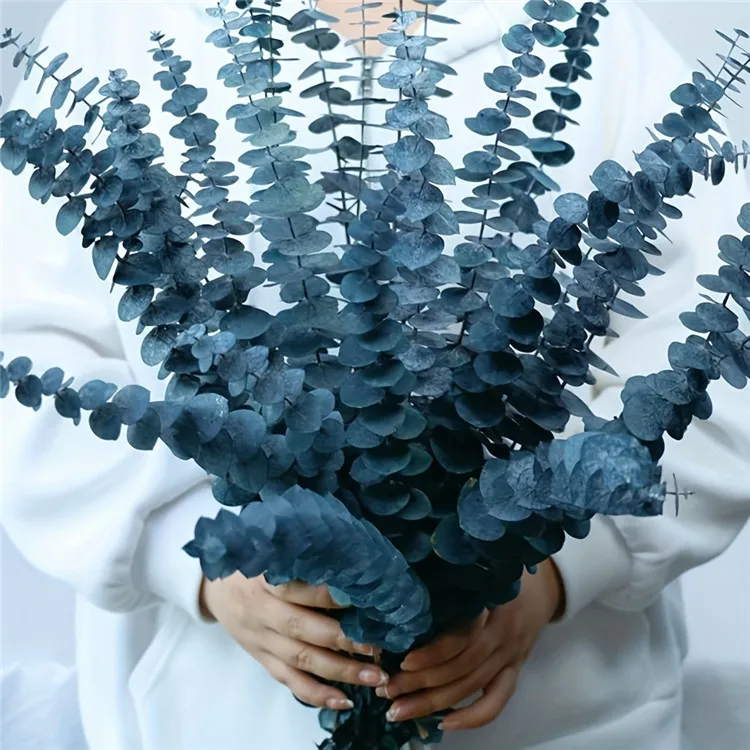 Natural Green Eucalyptus Stems Greenery Leaves Dried Flowers Preserved Eucalyptus Branches for Wedding Home Decoration