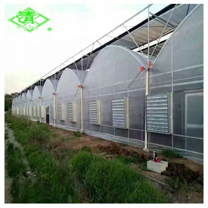 5 слоев PO овощных теплиц пленка на продажу от Qingtian пластиковые завод