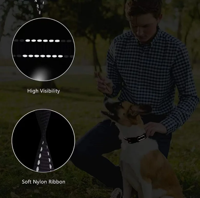 OEM Custom Logo Reflective Training Hounds Dog Martingale Collar