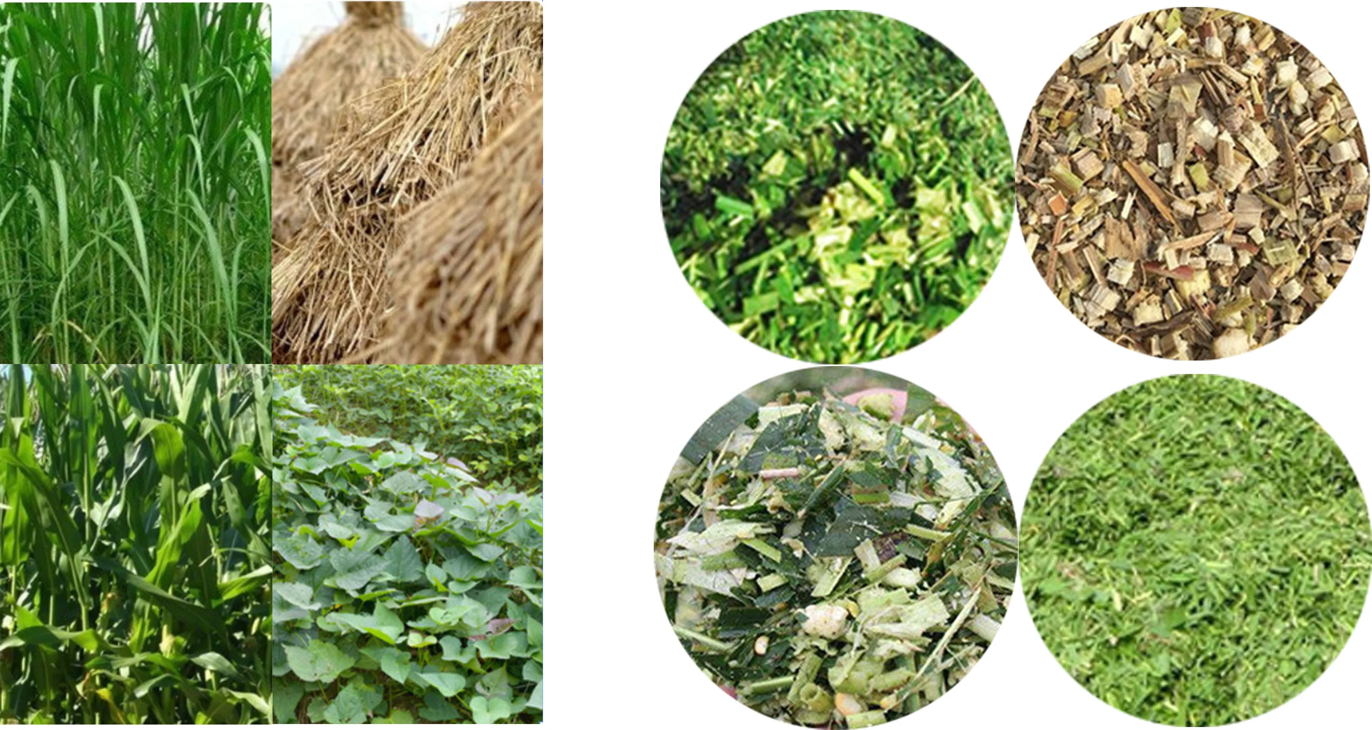 chaff cutter and crusher machine price for sale