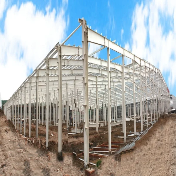 Duowei Steel Structure Construction in Africa for office building