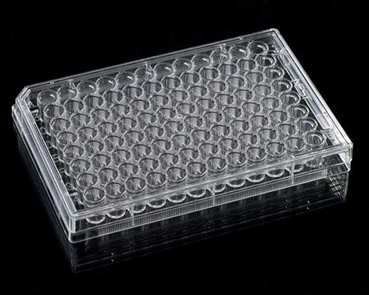 PS flat U bottom V bottom 96 deep multi well cell culture plate