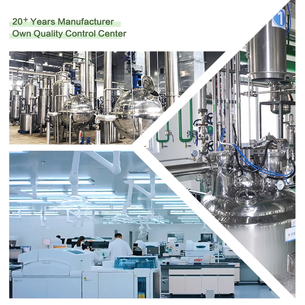 Manufacturer Supply Hot Selling Organic Ginger Powder