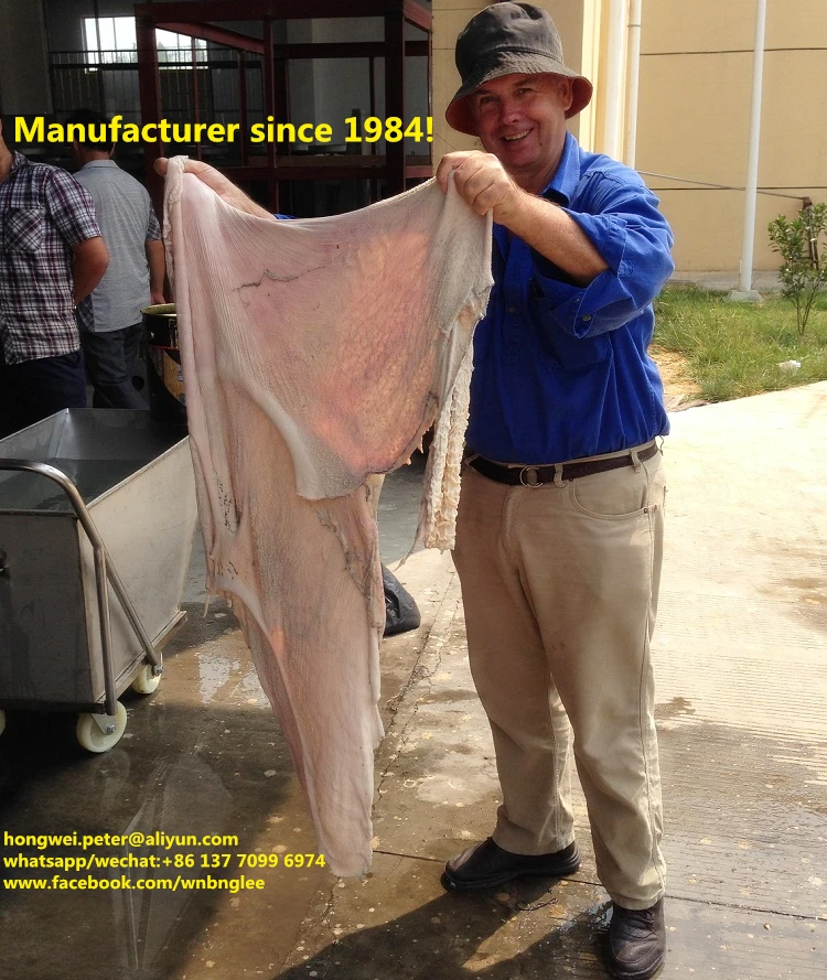 Abattoir Equipment Machine for Beef Cow Tripe Intestines Cleaning