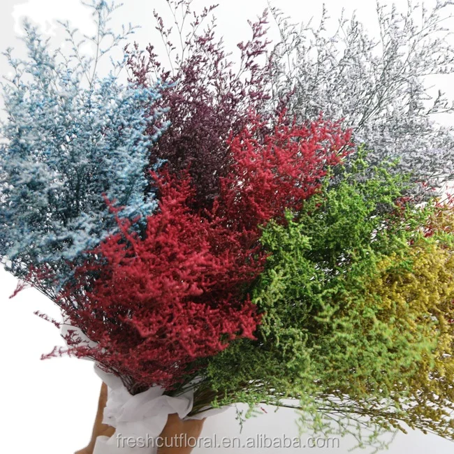 Hot selling preserved Limonium flower dried Baby Bearth flowers forget me Not dried preserved Misty Limonium Flowers