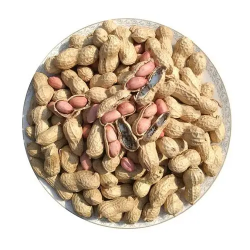 Chinese peanuts manufacturers in shell prices