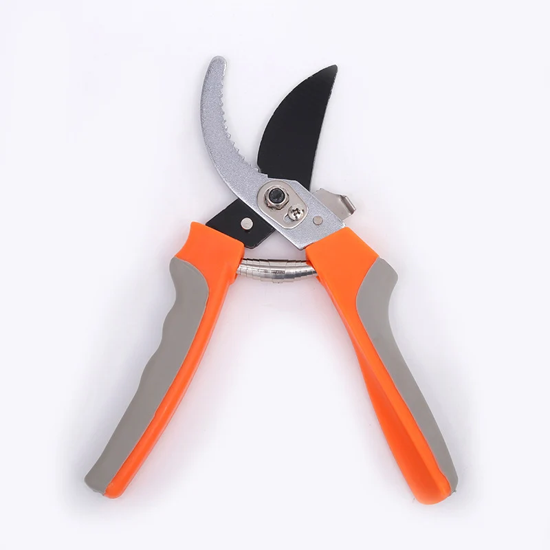 Horticulture Scissors Tree Pruning Shears Garden Pruners