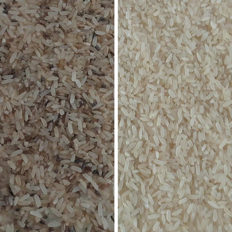 Custom equipment Processing machinery Large rice sorting machine Rice classifier rice processing mill color sorter rice