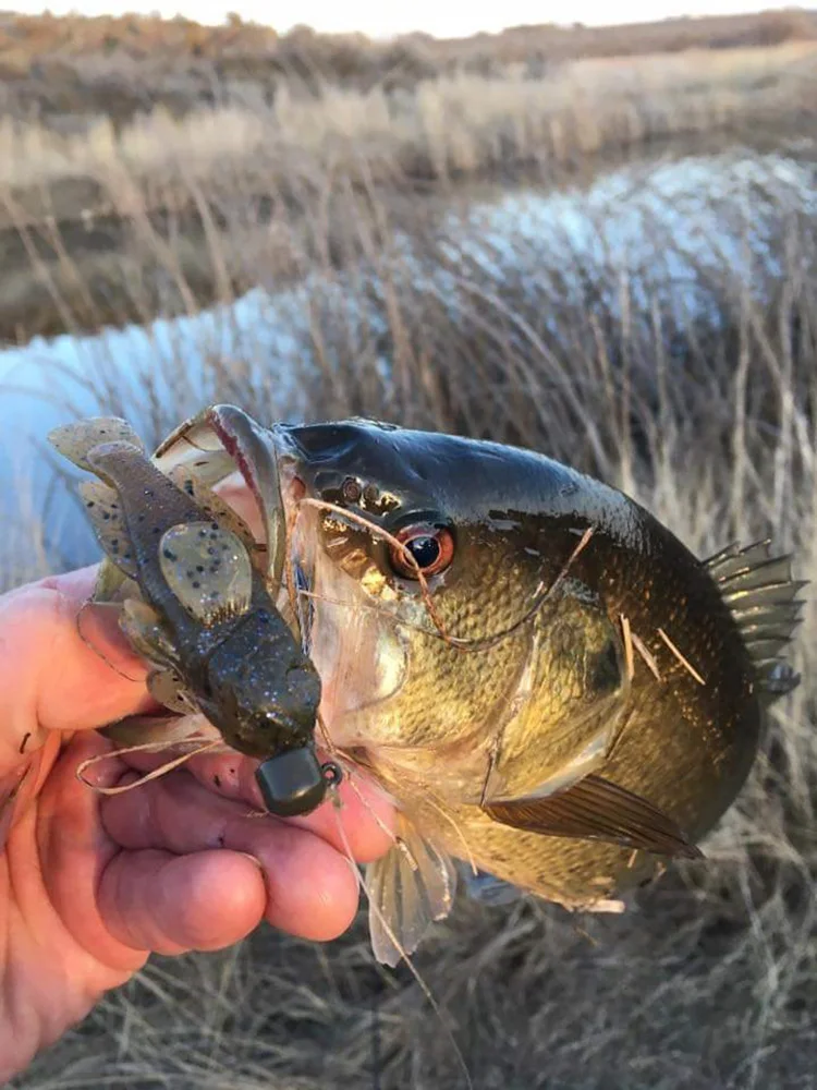 5pcs/Pack Top Grade 3inch Goby Swimbait ODM Factory Finest Detailed Softbait Manufacture New Design Fish Bait Soft Fishing Lure