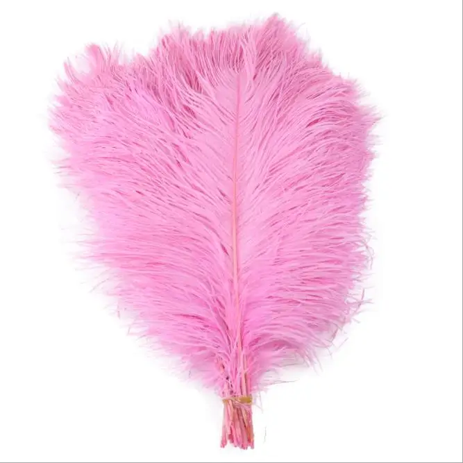 35-40cm wholesale feather carnival headband wedding feather samba carnival costume feather