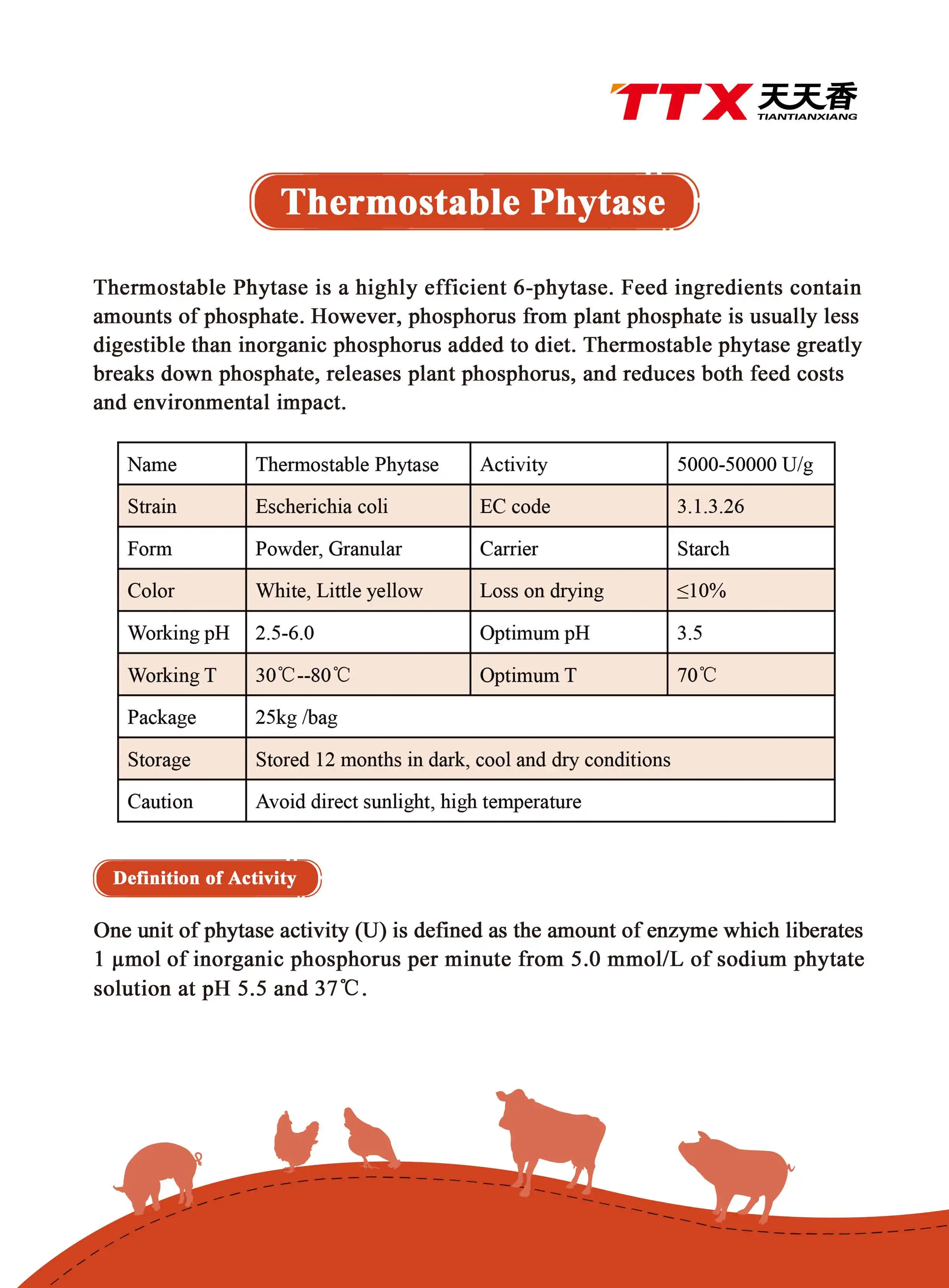 Thermostable phytase