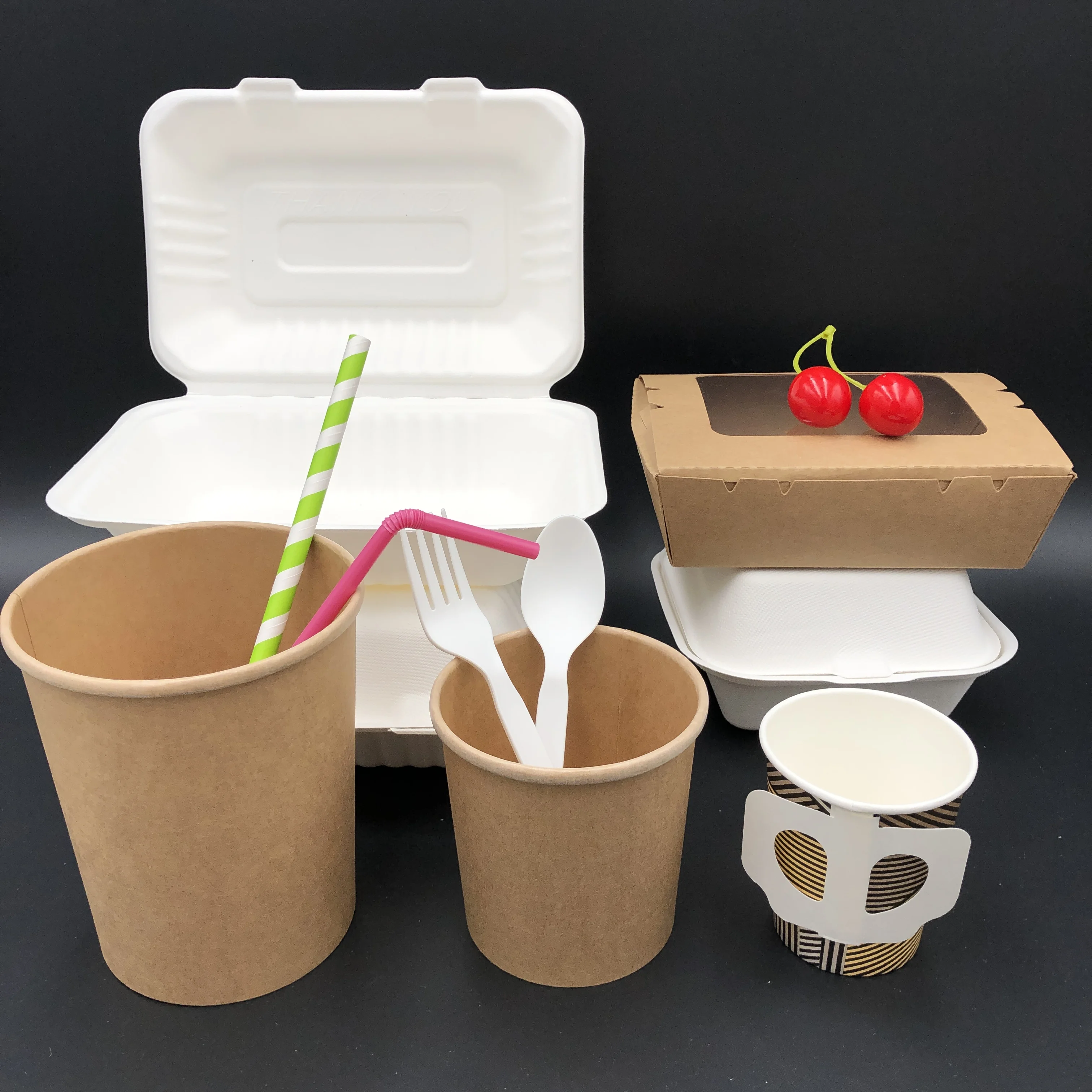 eco friendly takeaway food packaging compostable sugarcane bagasse product 100 biodegradable disposable tableware