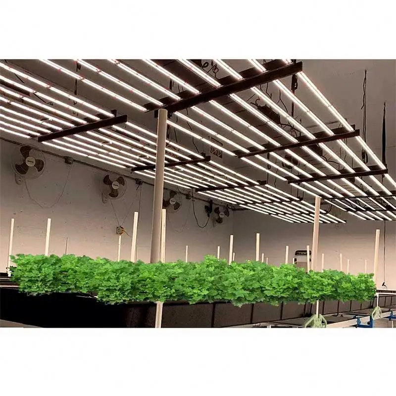 Rsngreen Высокая мощность 800 Вт Регулируемая яркость 650 600 новое поколение сверхъяркого спектра цветочный сценический светодиодный
