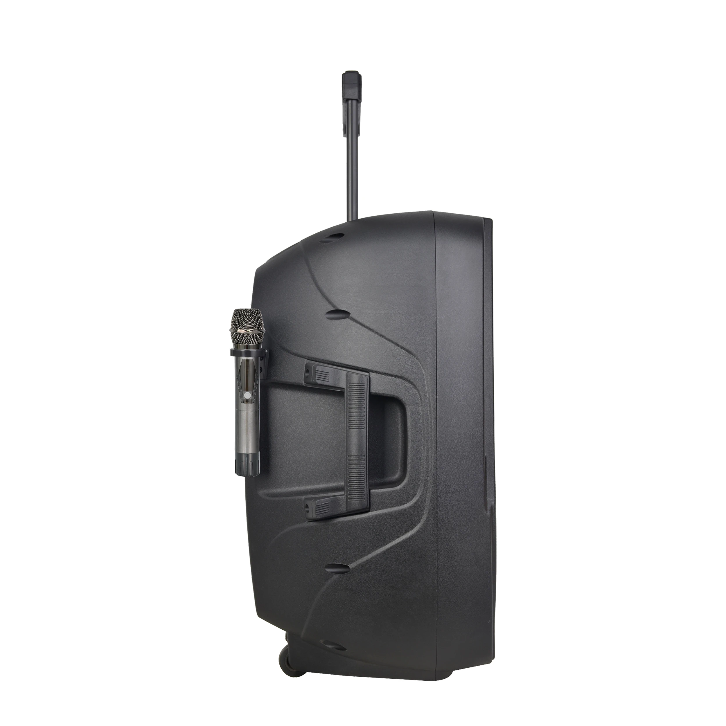 RQSONIC CSL15AVH 15 дюймов 100 Вт портативный профессиональный аудио активный динамик с 2 беспроводными микрофоном