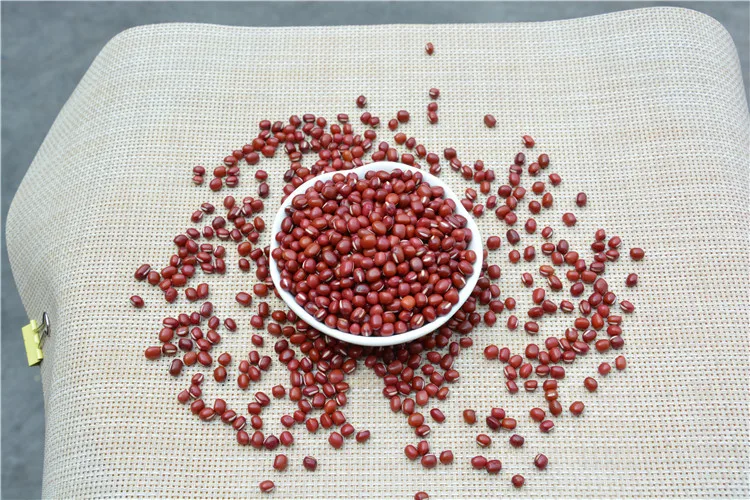 
Wholesale Adzuki Pearl Type Small Round Red Beans 