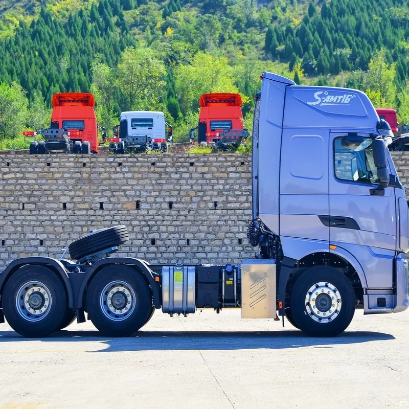 Рядный шестицилиндровый Дизельный Грузовик Sinotruk Howo 6*4