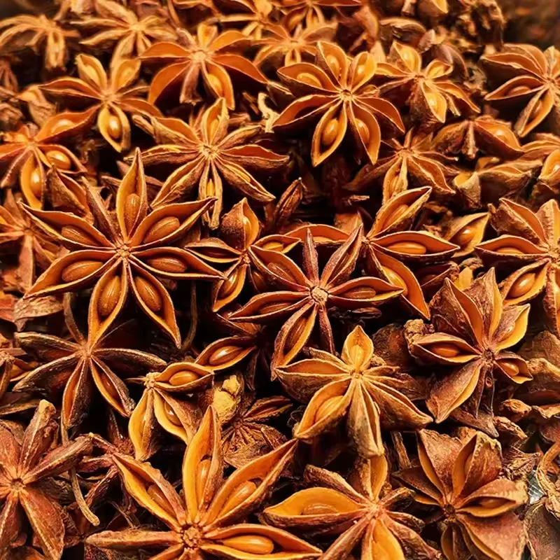 Wholesale Best Chinese Herbs and Spices New Autumn Crop Organic Dried Whole Star Anise 100g/bag