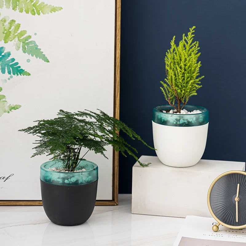 Wholesale Lazy Double Layer Cheap Plastic Flower Succulent Self Watering Planter Pots