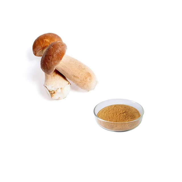 Private Label Leccinum Crocipodium Penny Bun Culinary Boletus Edulis Mushroom Extract Powder