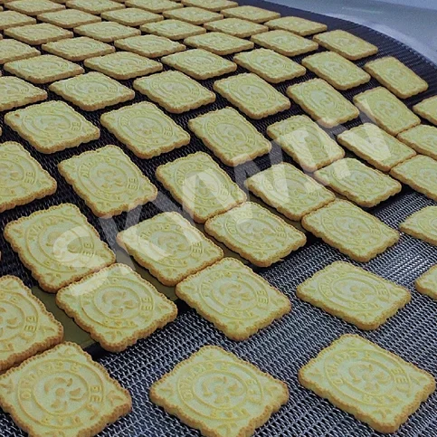Skywin Rotary Biscuit Forming Machine Automatic Biscuit Machine Production Line