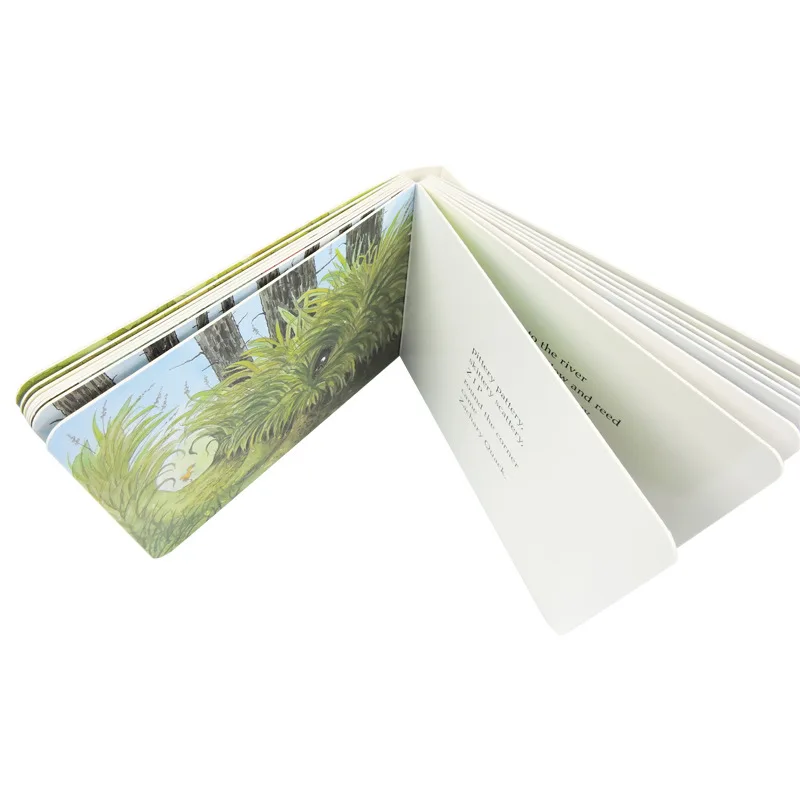 High Quality Custom Hardcover Book Children Color Print English French Educational Learning Paper Paperboard Printing