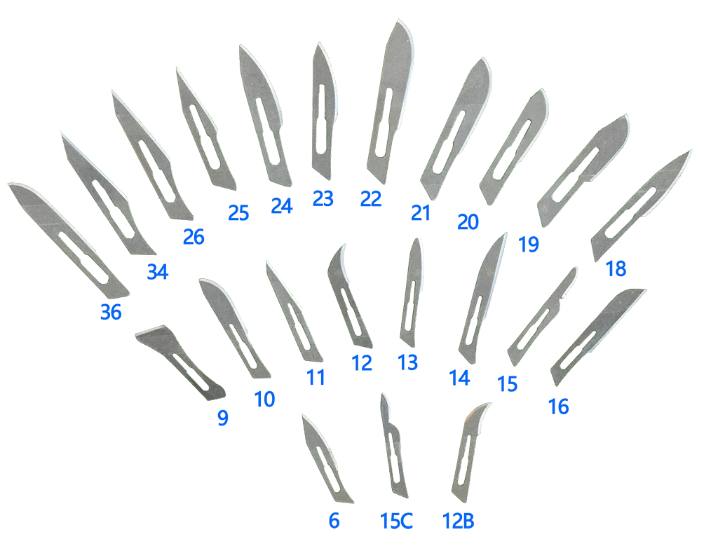 Whole Sales Disposable Sterile  Stainless Steel Surgical  Operating Blades Scalpel