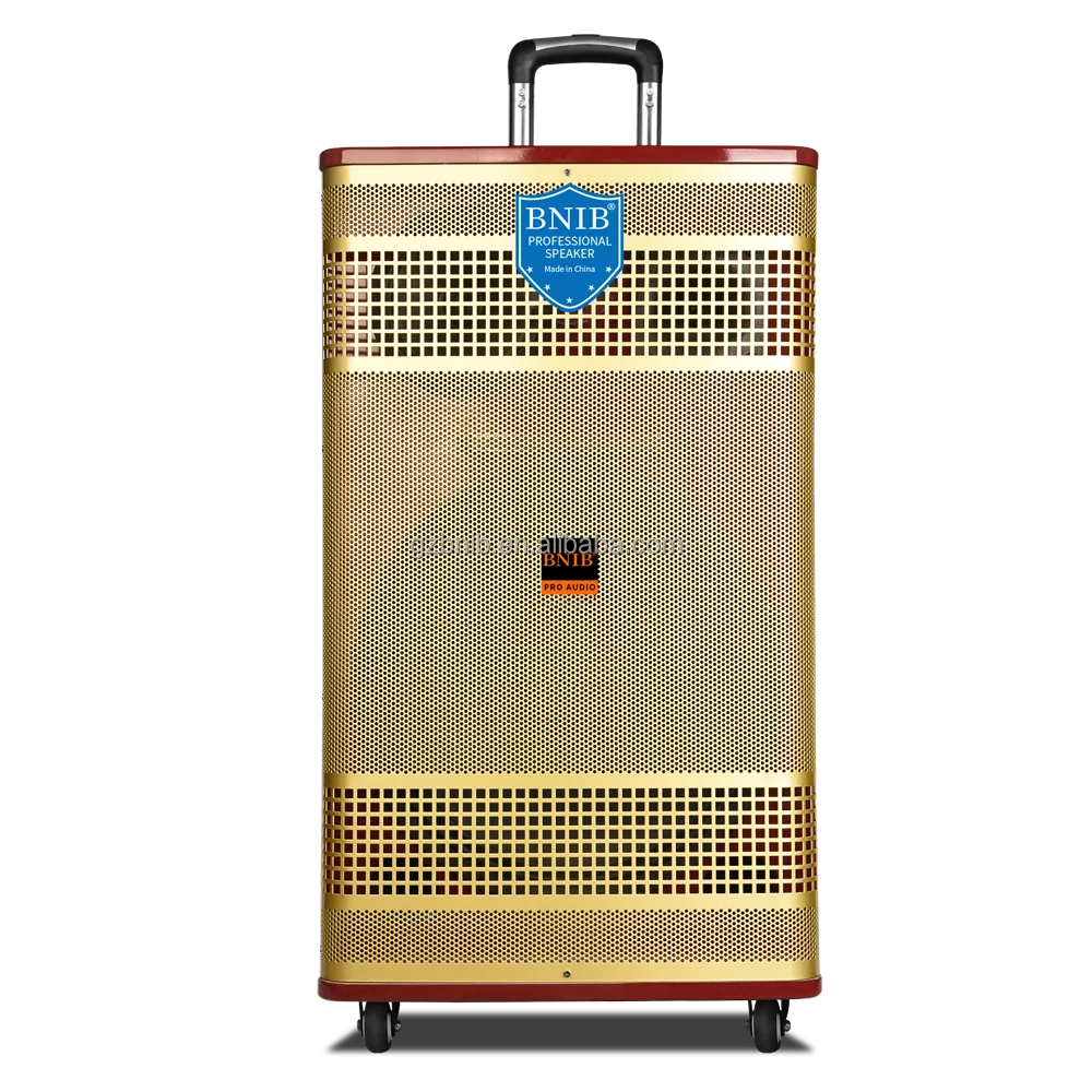 2022 New Products ODM Party Speaker Dancing Woofer Speaker With Mic Outdoor Speaker Display Wholesale