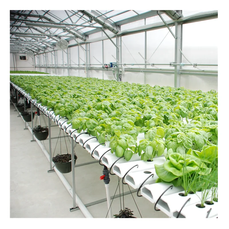 
PVC Farm Hydroponic Grow Systems for Agricultural Tomato/Salad/Strawberry Greenhouse 