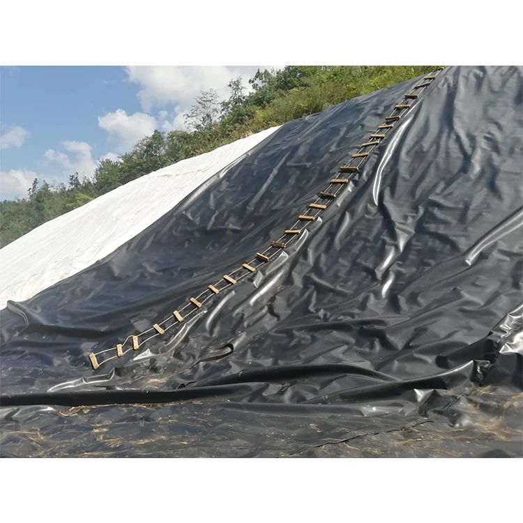ASTM 10 мм геомембрана для рыбной креветки пруд лайнер Hdpe