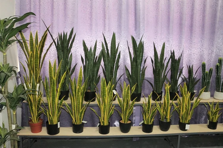 Indoor room decoration landscape artificial plant tropical bonsai fake plant sansevieria