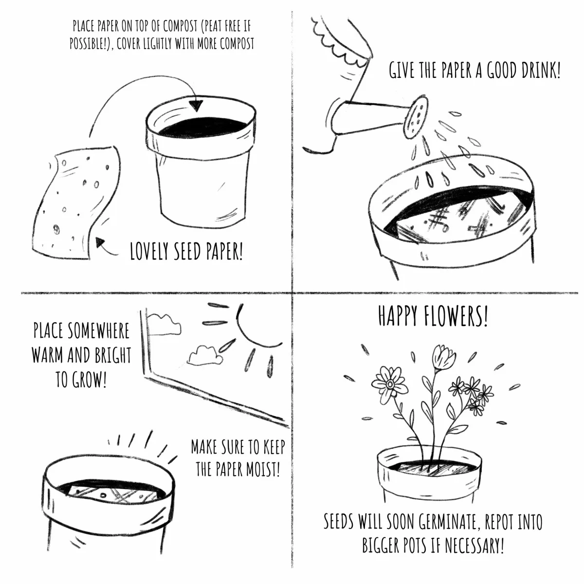 Biodegradable Custom Gemination Gift Seed Bookmarks Paper with Fully Visible Seeds