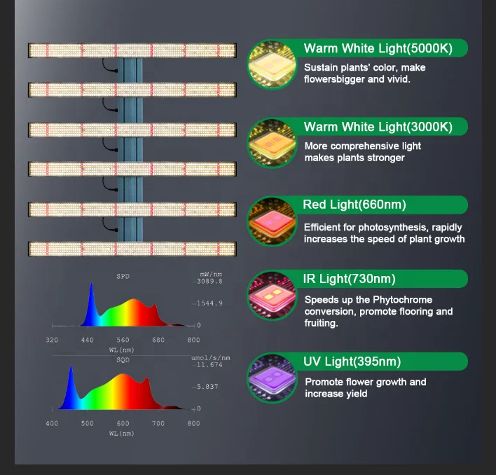 Full Spectrum Wholesale Commercial Greenhouse Led Grow Light Helps Plant Seeds Break Through Soil