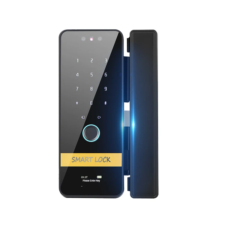 Door Lock Five in One Face Fingerprint Password Key Fingerprint Intelligent Glass Bluetooth Memory Card Plastic 12v CN;GUA 2.1kg