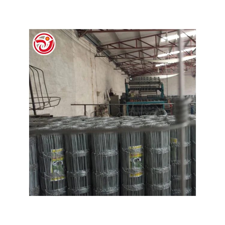 stainless steel hexagonal wire netting galvanized wholesale chain link wire netting industrial wire netting chicken coop