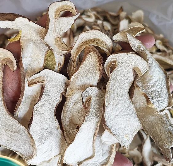 Сушеные съедобные грибы porcini Пенни-булочка для продажи Niu gan jun