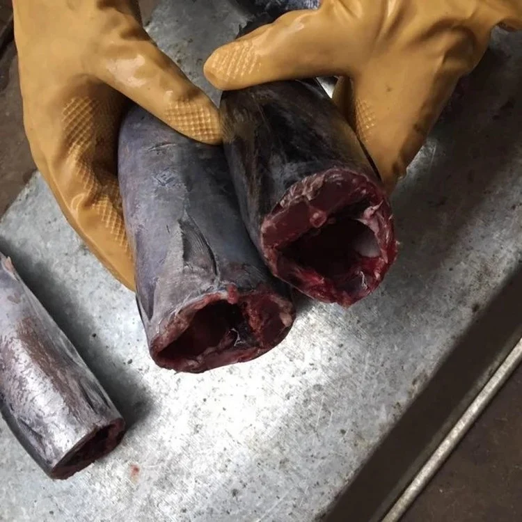 Горячая Распродажа замороженный Бонито тунец HGT (Auxis Thazard) для консервирования