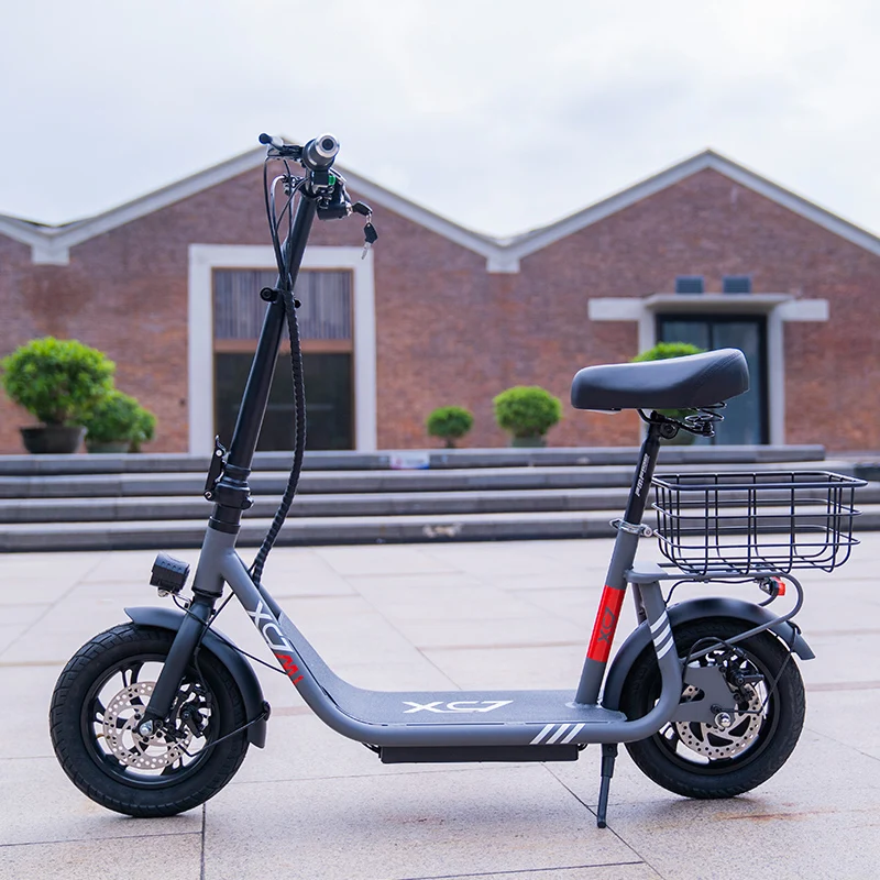 12inch e scooter-ddedd.jpg