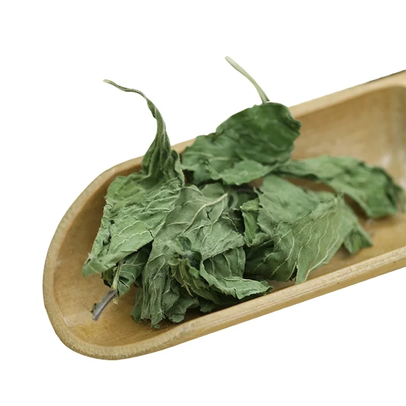 Hot Sale Dried Mint Leaves High Quality Peppermint Leaf for Herbal Tea Juice Cocktail