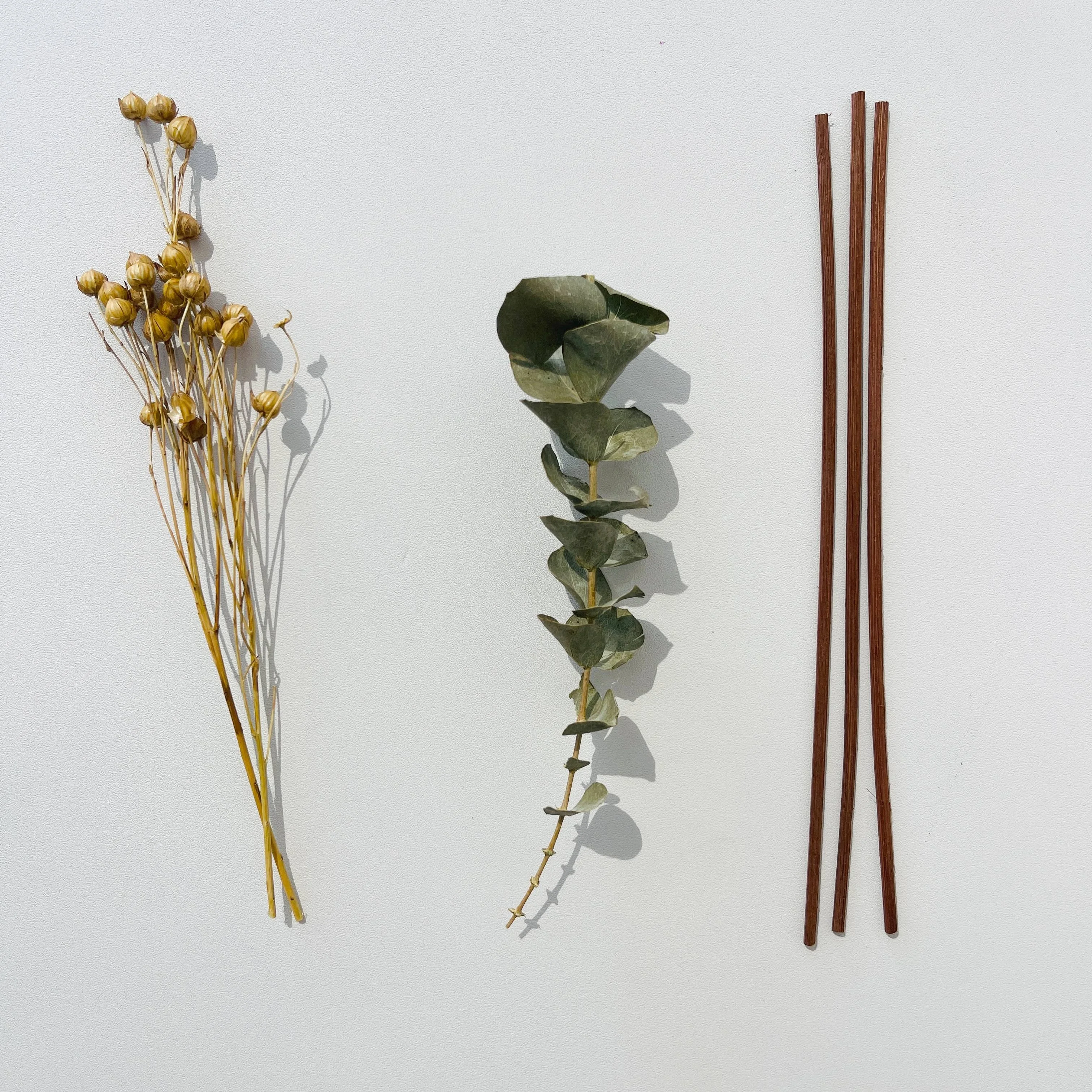 Different matches, DIY your special design dried natural flowers for Reed Diffuser