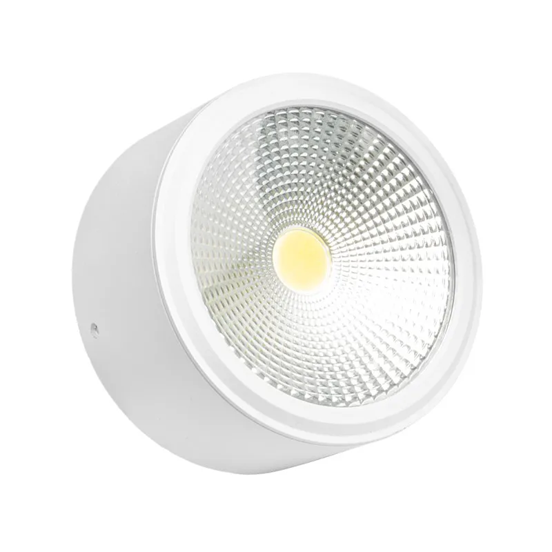 New High Quality Hotel Downlight With Dali Driver Surface Mounted Recessed Cob Led Downlight