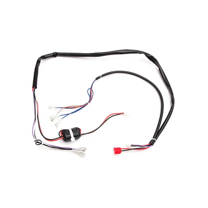 Customized Wire Harness Electronic Automotive Cable Assembly