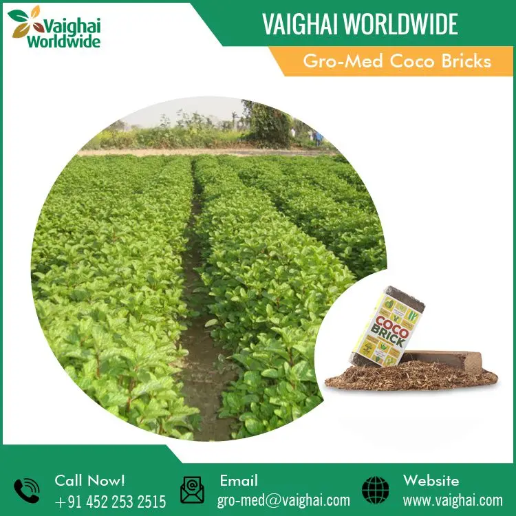 High Quality Best Selling Garden Supplies Coco Bricks Coir Peat for Growing Plants