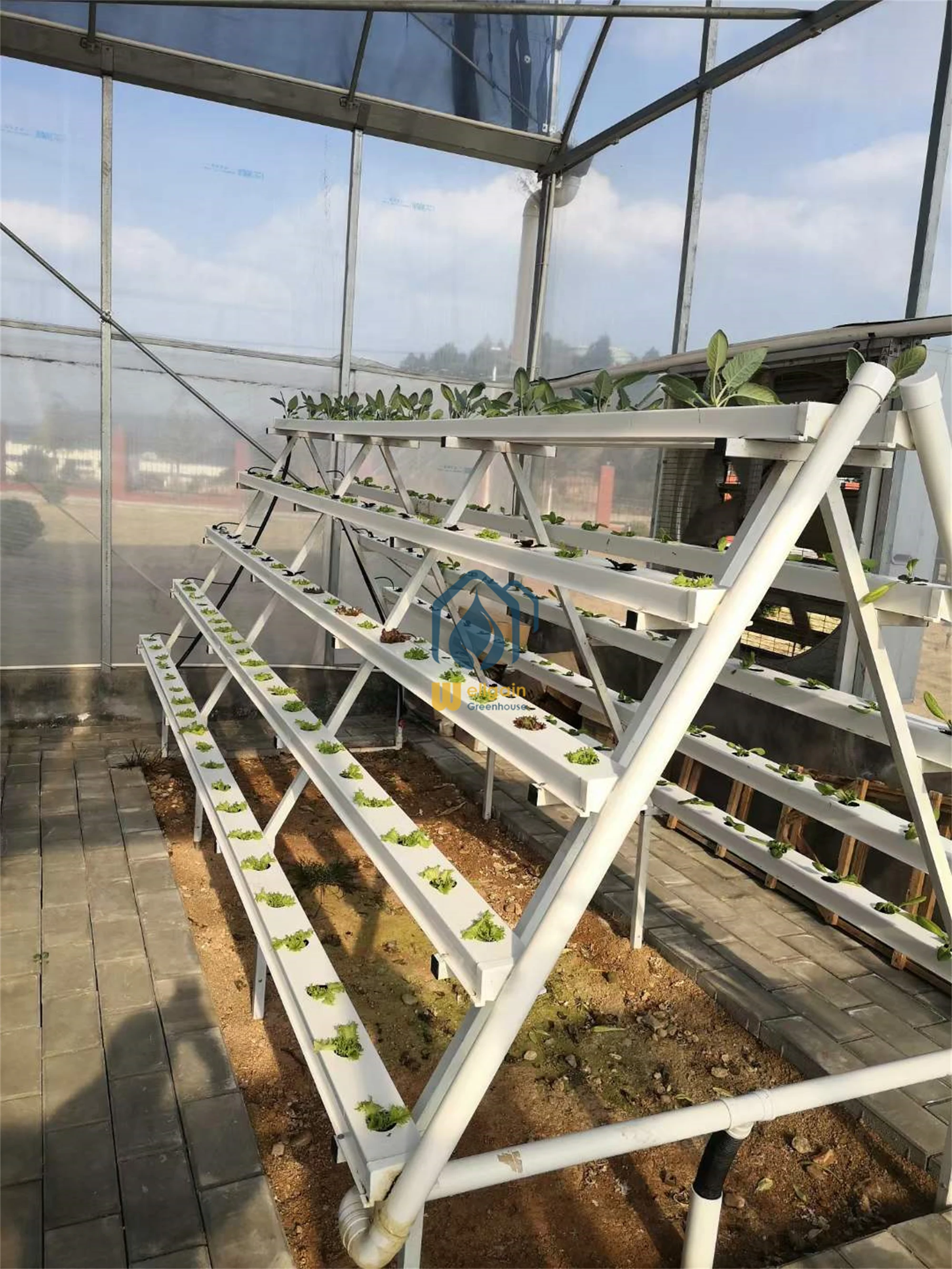 wholesale 100*50 hydroponic rectangular pvc tube / pipe