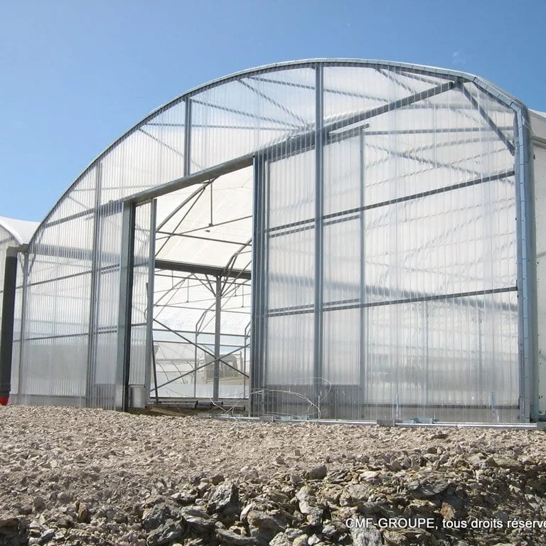 Factory Price Custom Size Tunnel plastic greenhouse for  sale