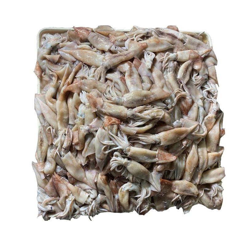 
whole round squid ILLEX ILLECEBROSUS BOSTON ILLEX 