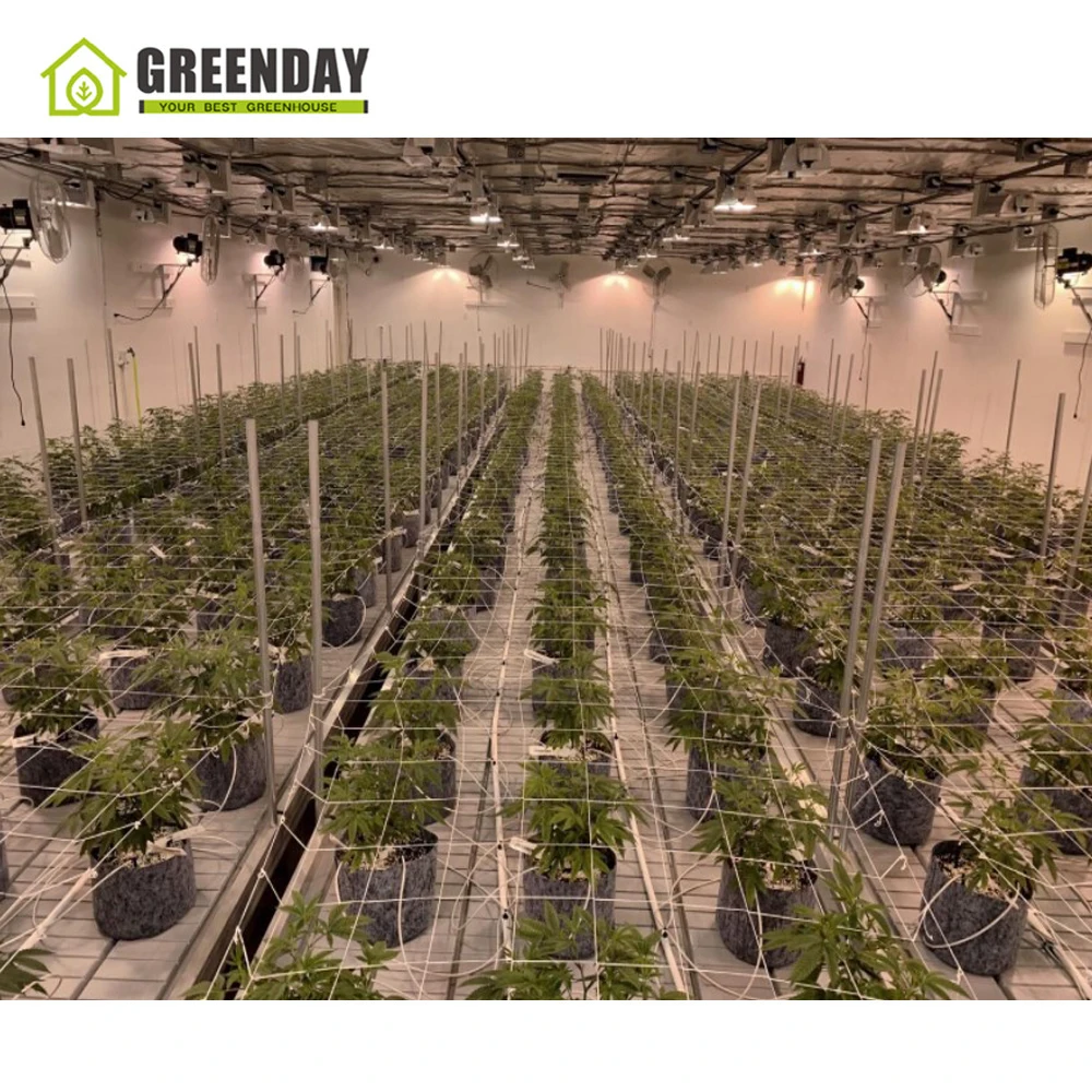 
GREENDAY Wholesale agricultural greenhouse orchid plant nursery tray ebb and flow table 
