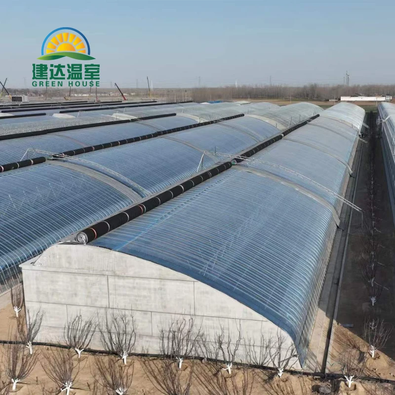 Special for cold areas warm greenhouse Agricultural quilt Greenhouses to planting strawberry  in winter