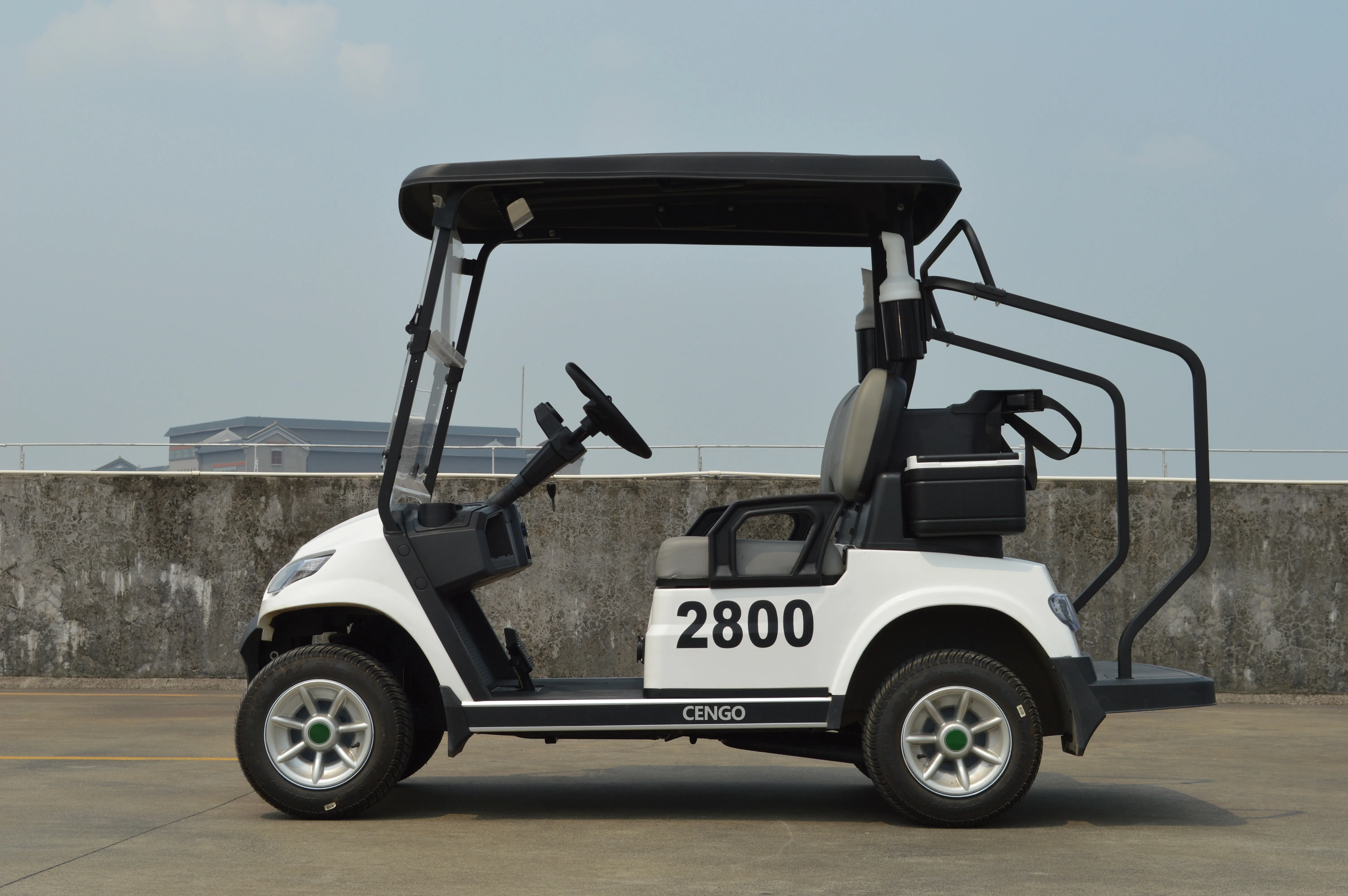 2 4 6 Seat Electric Lithium Battery Golf Cart Hunting Golf Buggy car with DOT EEC