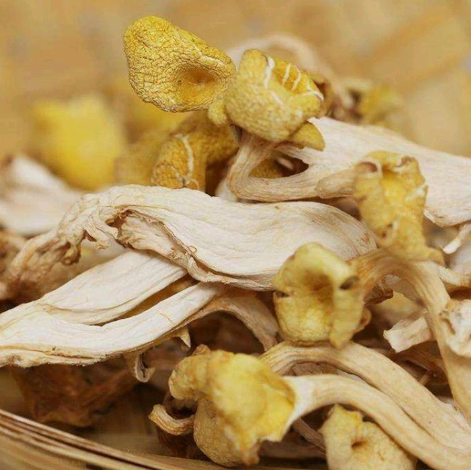 Import and export dried yellow mushroom, manufacturer sales